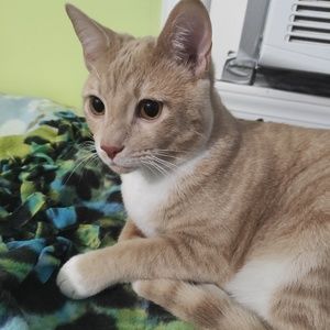 Meet your Posher, Angela